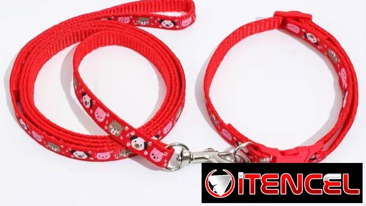 Collar con correa y cascabel