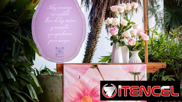 FIESTA DE QUINCE AÑOS. DECORACIÓN Y COORDINACIÓN