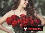 Fotos de Quince, perpetuando tu belleza