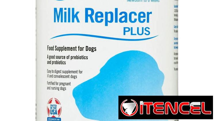 Leche para Gatos Y Perros Recién Nacidos