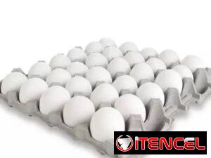 9f190c6f89b3538e160435b2afe901a128a51e268a124b50cd1ccb692d777147