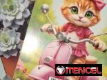 Vendo libretas en 600cup Soy d Centro habana