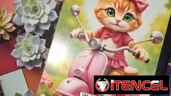 Vendo libretas en 600cup Soy d Centro habana