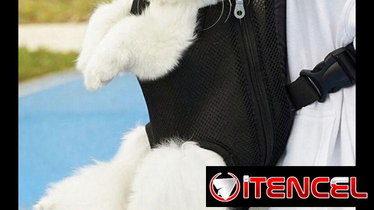 cargadores de mascotas