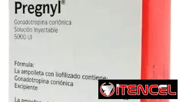 Novaldex – Tamoxifeno – Clomifeno – Cardo Mariano – Pregnyl de Schering-Plough