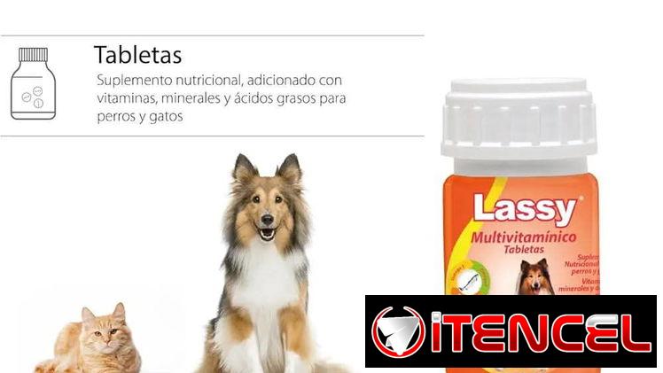 Multivitaminas Lassy para perros y gatos
