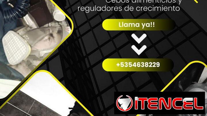 FUMIGADOR -EXTERMINADOR FUMIGACIÓN  DE Cucaracha Chinche Garrapata Pulga Ratones Ratas Hormigas Moscas Mosquitos