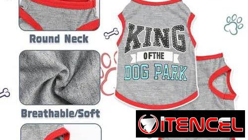 Ropa para tu mascota