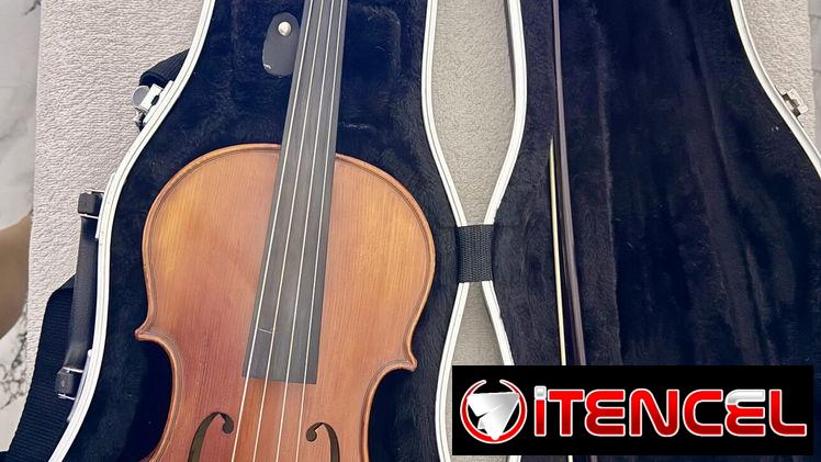 Viola en venta