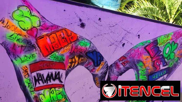 Murales Pintados Personalizados