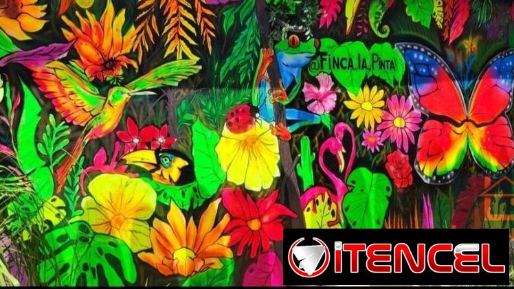 Murales Pintados Personalizados