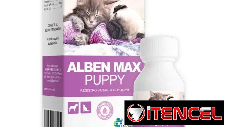 ALBEN MAX PUPPY
