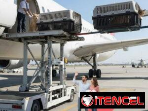 a199d981895ab8083dbaf5a3c528706aa057744455fb838fec98ba4782b48333