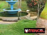 Finca lujo 400 mil Arroyo Arenas lisa