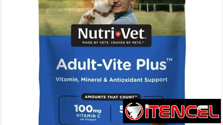 Multivitaminas para perros