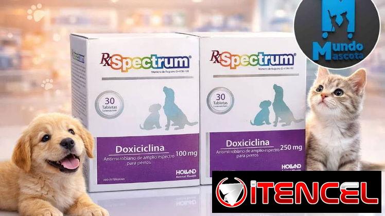 Doxiciclina de uso veterinario exclusivo