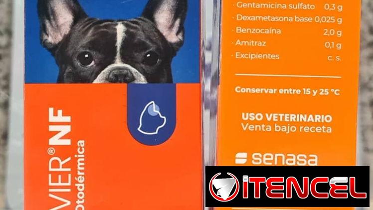 Solución para la otitis