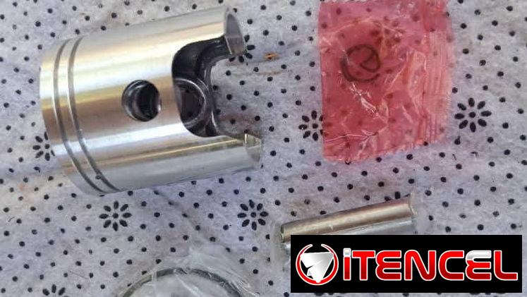Reparación de planta 2t