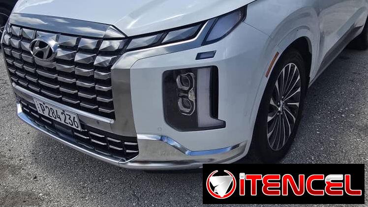 Vendo o negocio, Hyundai palisade 2024, calligraphy