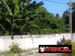 #Terreno & Árboles Frutales 0.10hta.