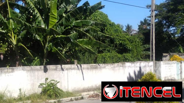 #Terreno & Árboles Frutales 0.10hta.