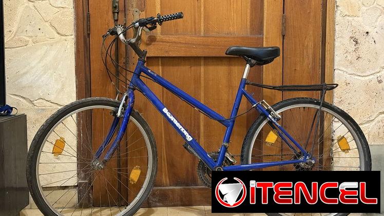 Bicicleta boomerang