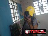 Busco empleo