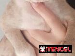 PITBULL MERLE,ambos sexos,en 200 USD o equivalente(ACEPTO TRANSFERENCIA)DOMICILIO INCLUIDO,de 60 días y desparacitados