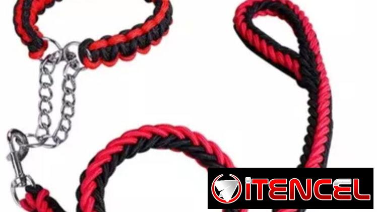 CORREA TRENSADA + COLLAR PARA PERROS 🐕 DOG&CAT 💯