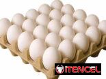 1 Caja de 12 cartones de Huevos blancos