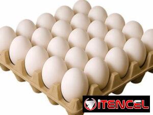 a3aaa5848a98d773e92013ba33bc3148fab2b3c00615f0ad93efb29d4aa2f717