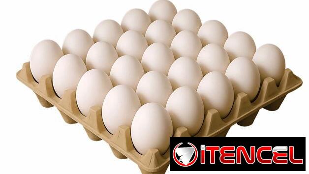 1 Caja de 12 cartones de Huevos blancos
