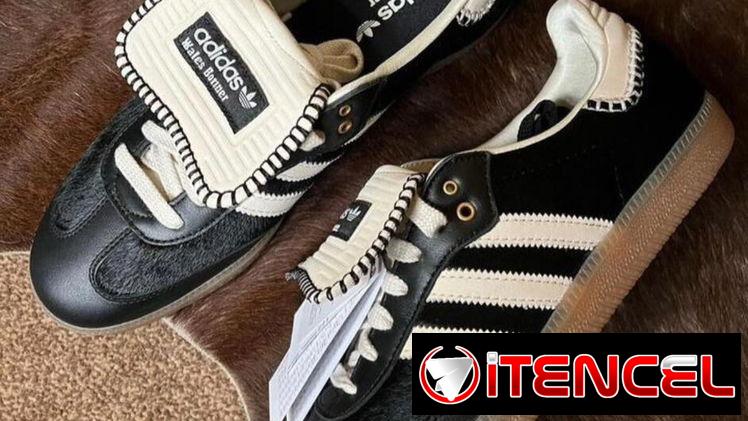 Tenis