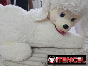 a3b4d3610c1284f72656a05d80fcf060bc5a084abcdf5727ab3b49cfbf18d92c