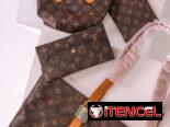 Carteras Luis Vuitton