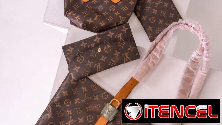 Carteras Luis Vuitton