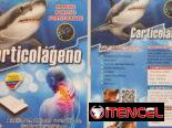 PARCHES PARA DOLORES