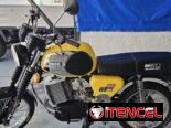 Ts 250