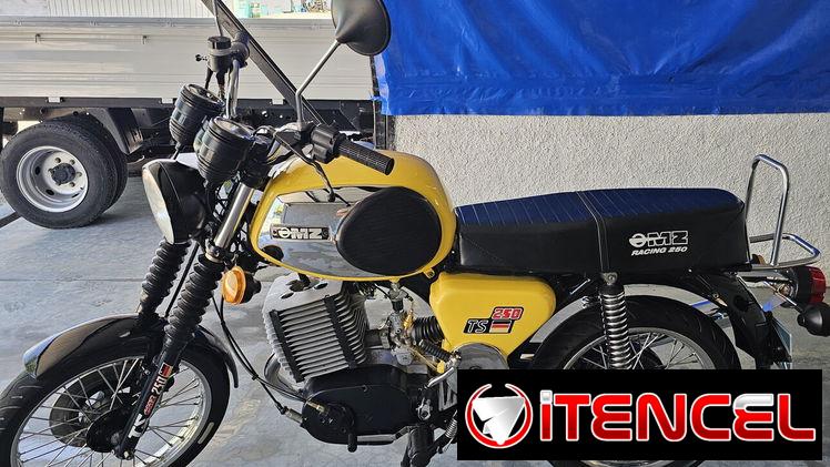 Ts 250