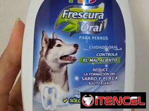a49dedd838d4b42891b5d4d71dfd6885e8252a2ee8ae38185266bd71f7daf386