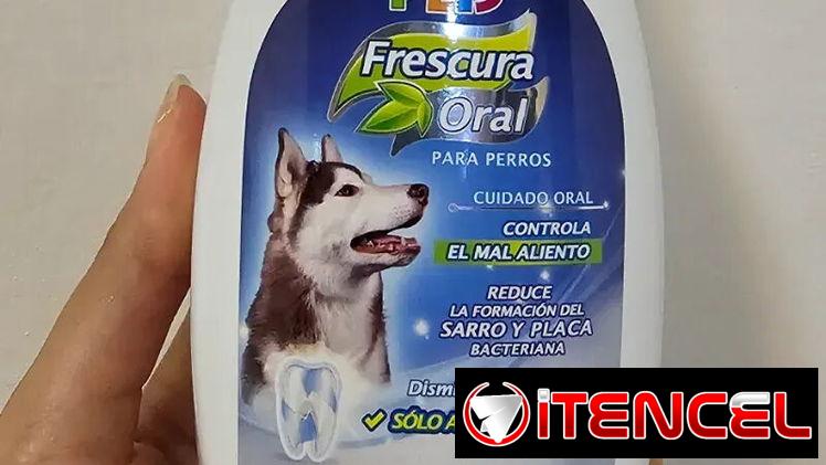 Fancy pets frescura oral