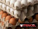 Oferta de Contenedores por Concepto de Importación