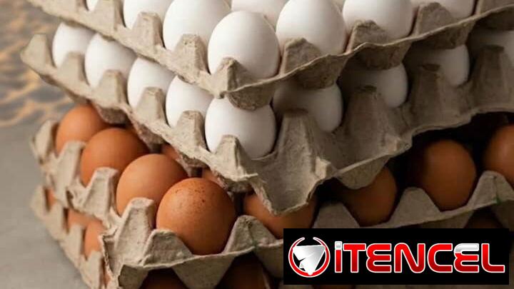 Oferta de Contenedores por Concepto de Importación