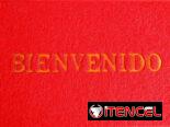 Alfombra de Bienvenido