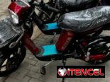 MOTORINA