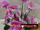 🧧Maceta con orquídeas💫 📏30cm /12 usd🧧