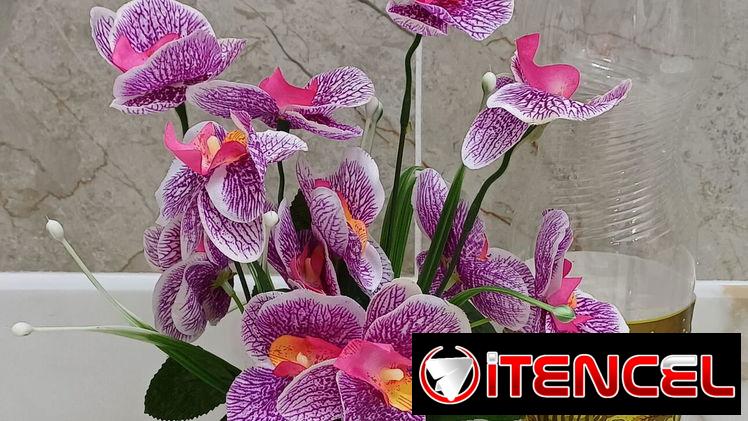 🧧Maceta con orquídeas💫 📏30cm /12 usd🧧