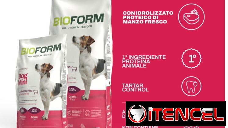 PIENSO IMPORTADO PARA PERROS ADULTOS MINI .BOLSA 3 Kg