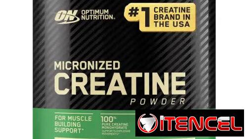 Creatina Micronizada