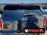 Vendo negocios Hyundai, palizada del 2021 callygrafhy